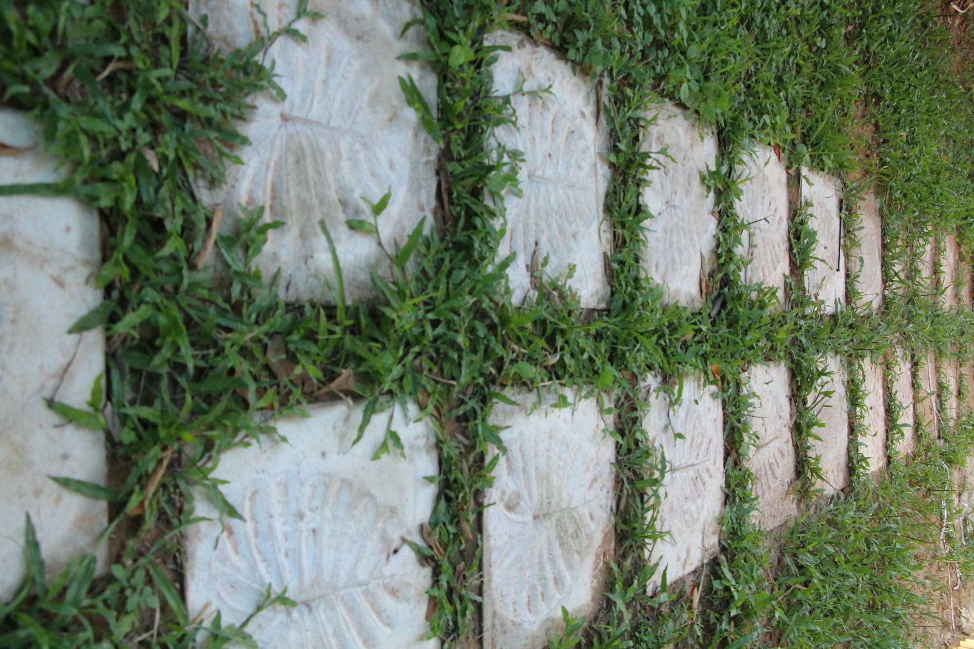 Areca Stay Siem Reap Dış mekan fotoğraf