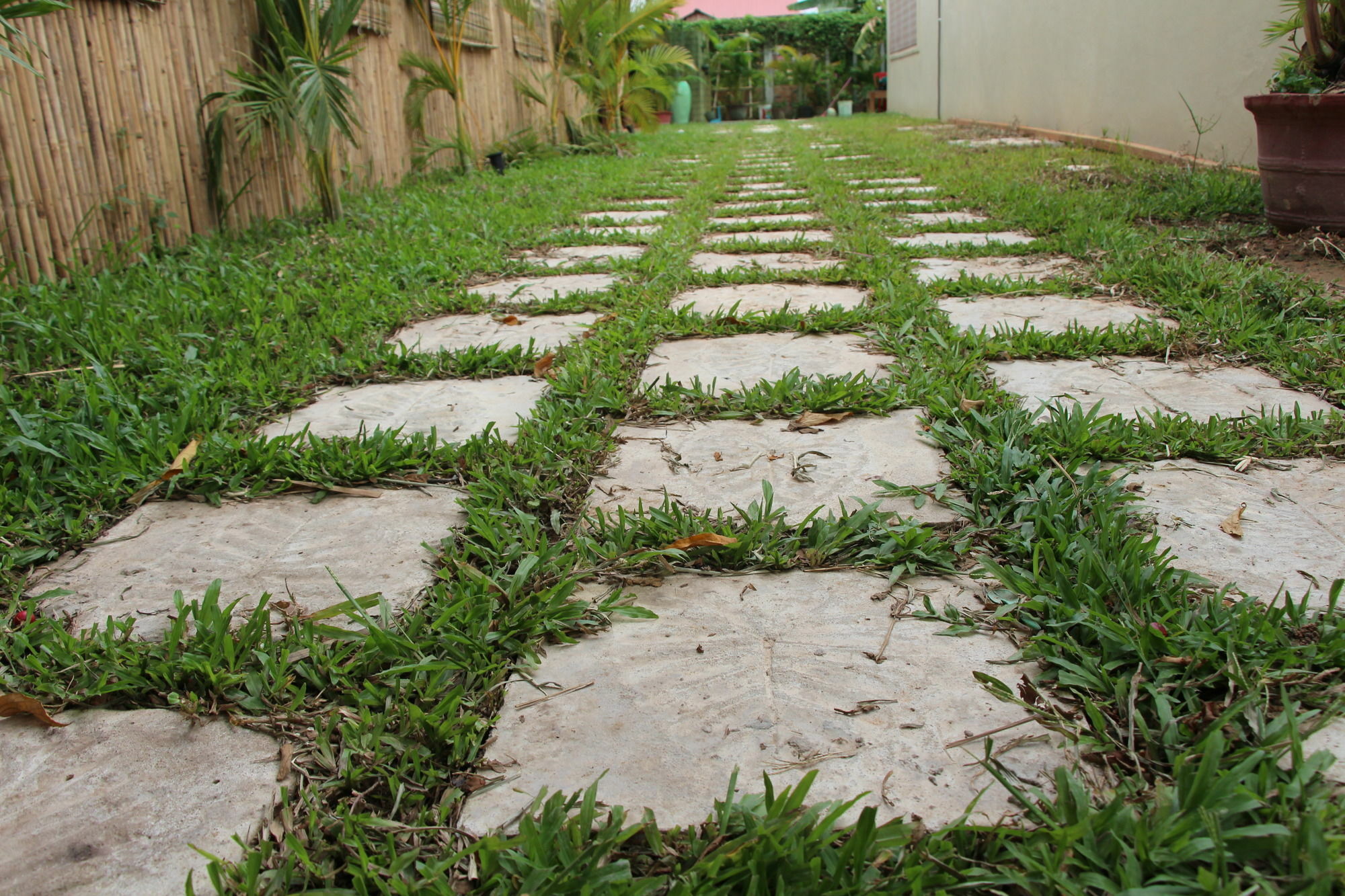 Areca Stay Siem Reap Dış mekan fotoğraf